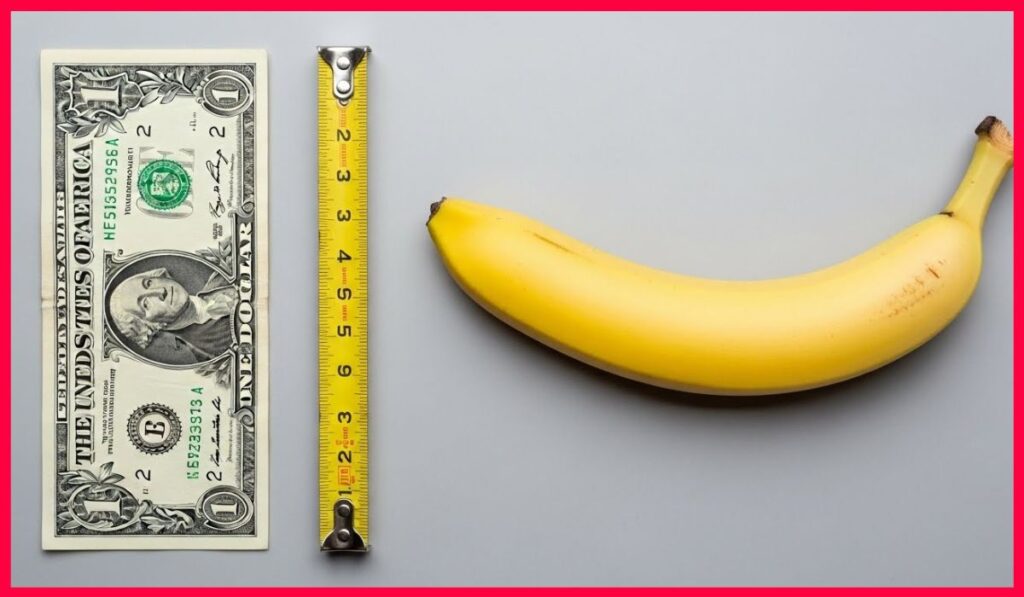 8 Inches Long Really Feel Like